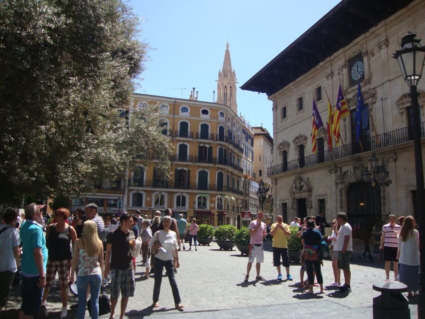 Palma Tour with Wine and Tapas Tasting - Price and value: is $194 worth it for a 3-hour Palma tasting?