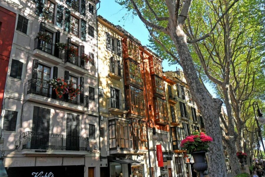 Palma: Walking Tour with Mediterranean Delicacies - Mercat de l’Olivar: the Mediterranean flavors you’ll want to chase later