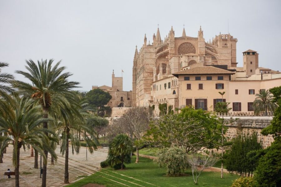 Palma: Walking Tour with Mediterranean Delicacies - Who this Palma tour suits best