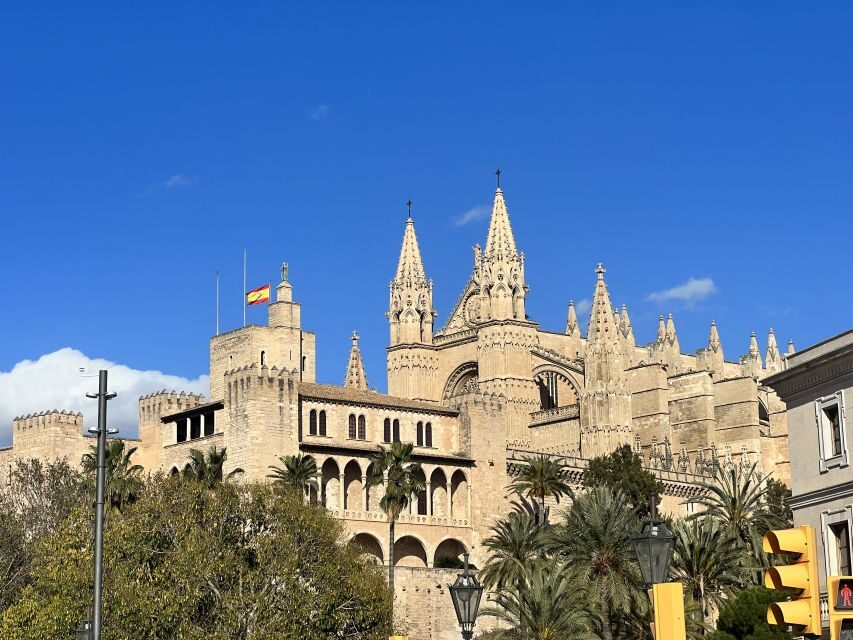 Palmas sightseeing highlights in a private and exclusive way - Royal Gardens to cobblestones: 2,200 years told on foot