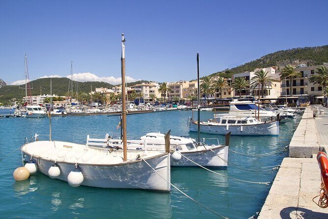 Paradise 4h Catamaran Tour of Mallorca and Puerto Andratx - The Southwest Coast Sail: Santa Ponsa, Paguera, and the Malgrats Views