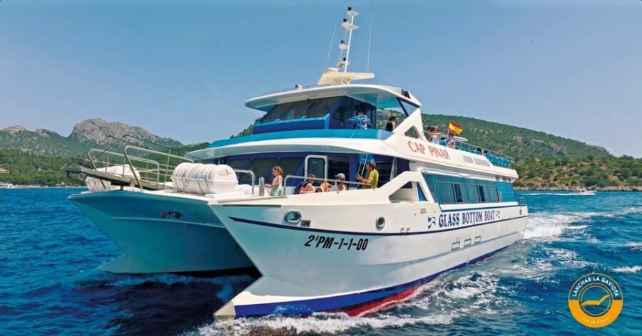 Pollença: Dolphin Watching Boat Excursion - Practical Tips Before You Go