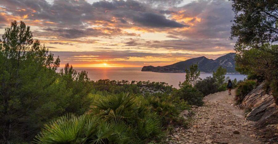Port Andratx: Guided hiking tour into the sunset to Sant Elm - Key highlights worth planning for