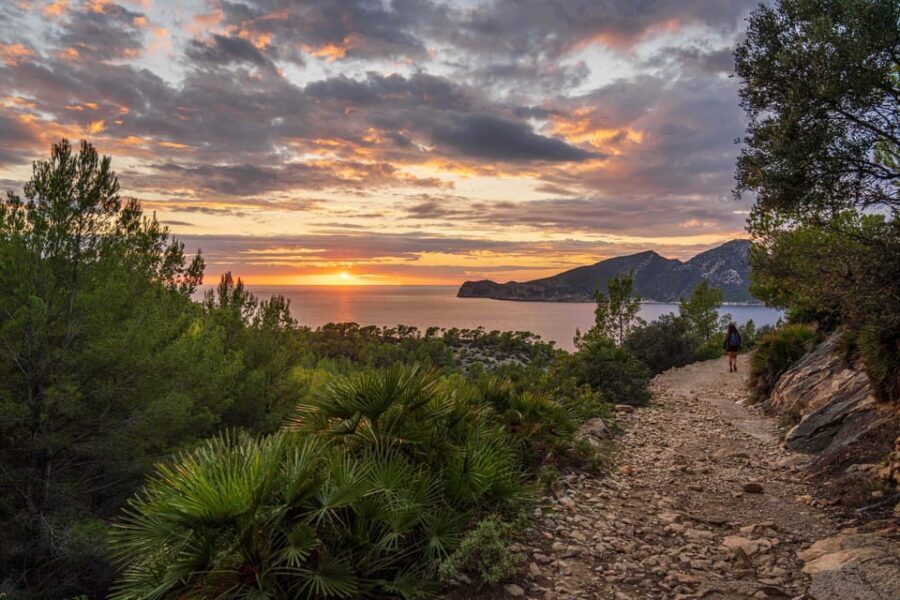 Port Andratx: Guided hiking tour into the sunset to Sant Elm - Guide and group size: why max 14 makes the experience better