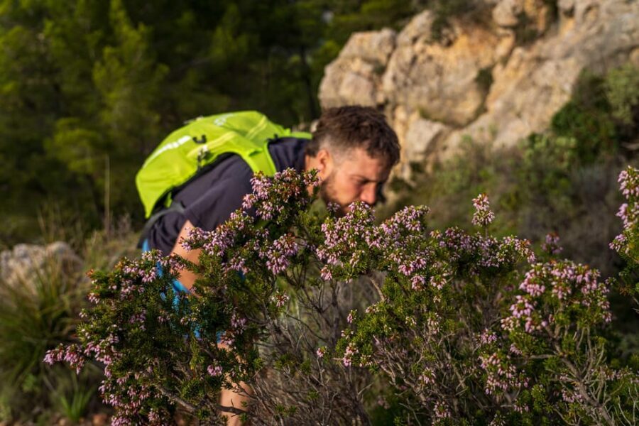 Port Andratx: Guided hiking tour into the sunset to Sant Elm - The sunset viewpoint: Majorcan tapas, drinks, and a view that pauses the clock