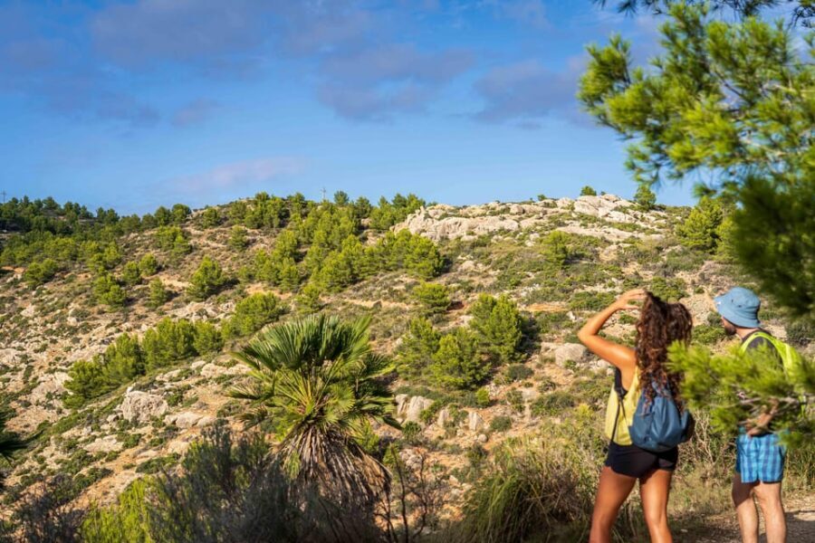 Port Andratx: Guided hiking tour into the sunset to Sant Elm - Price and what you actually get for $93