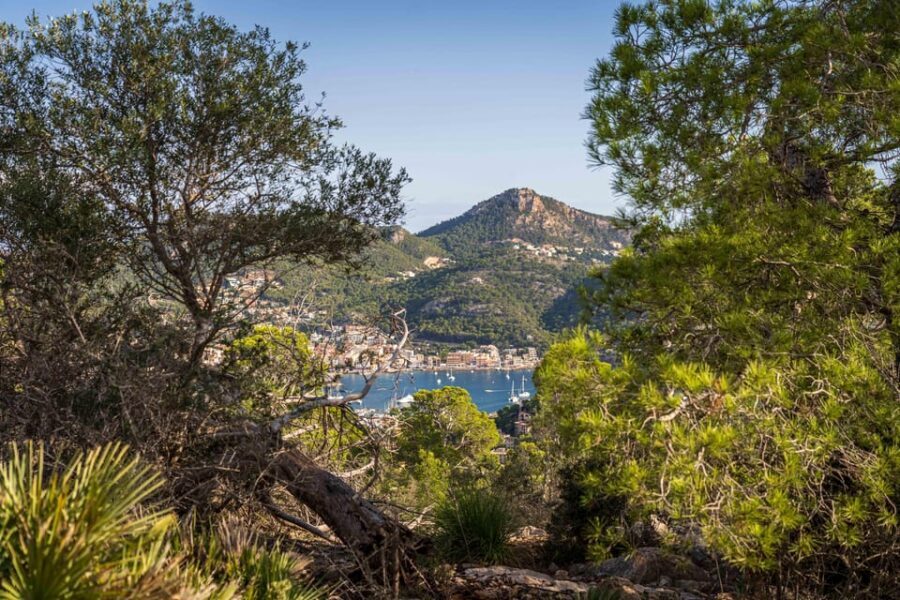 Port Andratx: Guided hiking tour into the sunset to Sant Elm - What to bring: small gear choices that make the hike easier