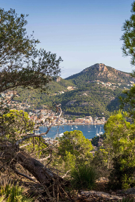 Port Andratx: Guided hiking tour into the sunset to Sant Elm - Who this Port Andratx to Sant Elm sunset hike suits best