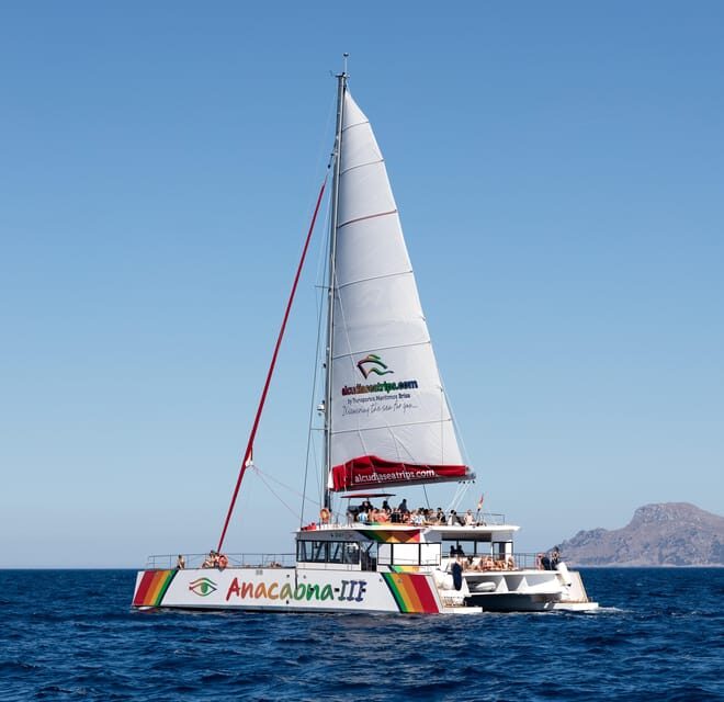 Port d'Alcudia: North Coast Catamaran Cruise with Meal - Lunch and Dinner BBQ on Board: What You’ll Actually Eat