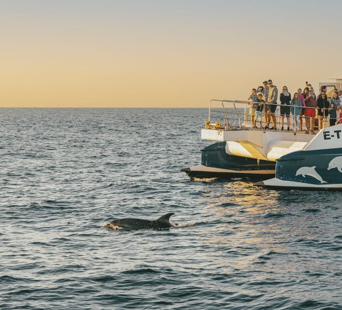 Port d'Alcudia: Sunrise at Sea & Dolphin Watching Boat Tour - Key things I’d plan around