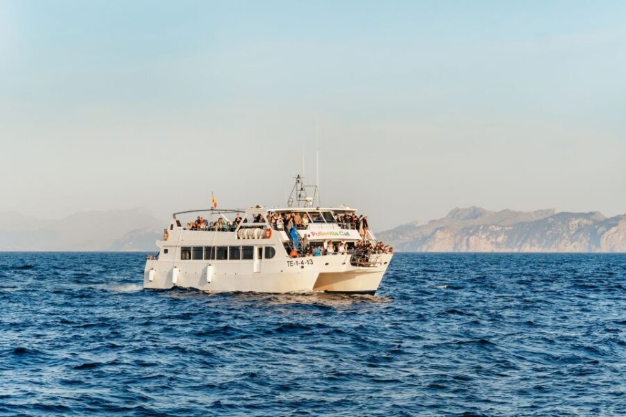 Port d'Alcudia: Sunrise at Sea & Dolphin Watching Boat Tour - Why the sunrise cruise feels different off Alcúdia