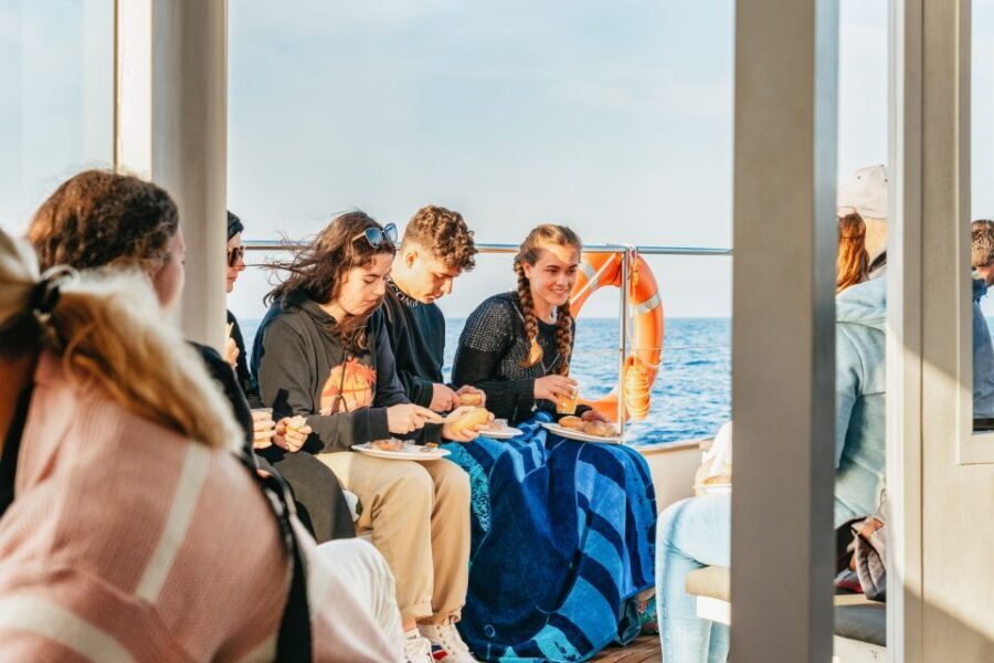 Port d'Alcudia: Sunrise at Sea & Dolphin Watching Boat Tour - Sunrise at sea: 15 minutes that change the whole morning