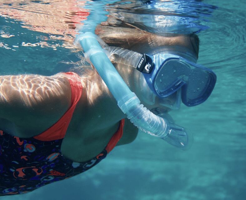 Port de Sóller: Snorkeling Tour with Professional Guide - What you’re likely to see: fish, crabs, and real ocean characters