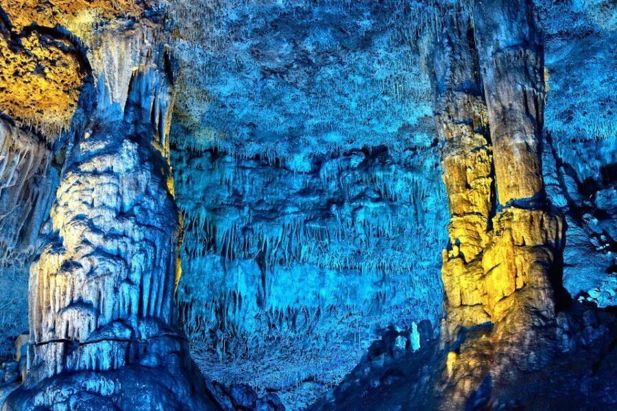 Porto Cristo: Caves of Hams Entry Ticket - Round Cave first: botanical garden and free-flying birds