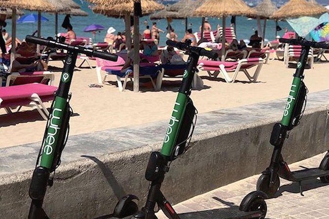 Premium electric Scooter rental with optional delivery - Who this scooter rental suits best (and who should skip)