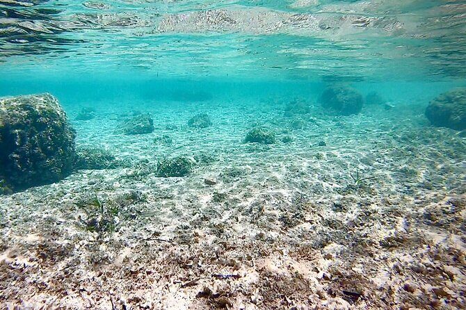 Private Boat Tour from Palma with Snorkeling and Paddle Surfing - Captain Calin’s style: communication, tailoring, and calm competence