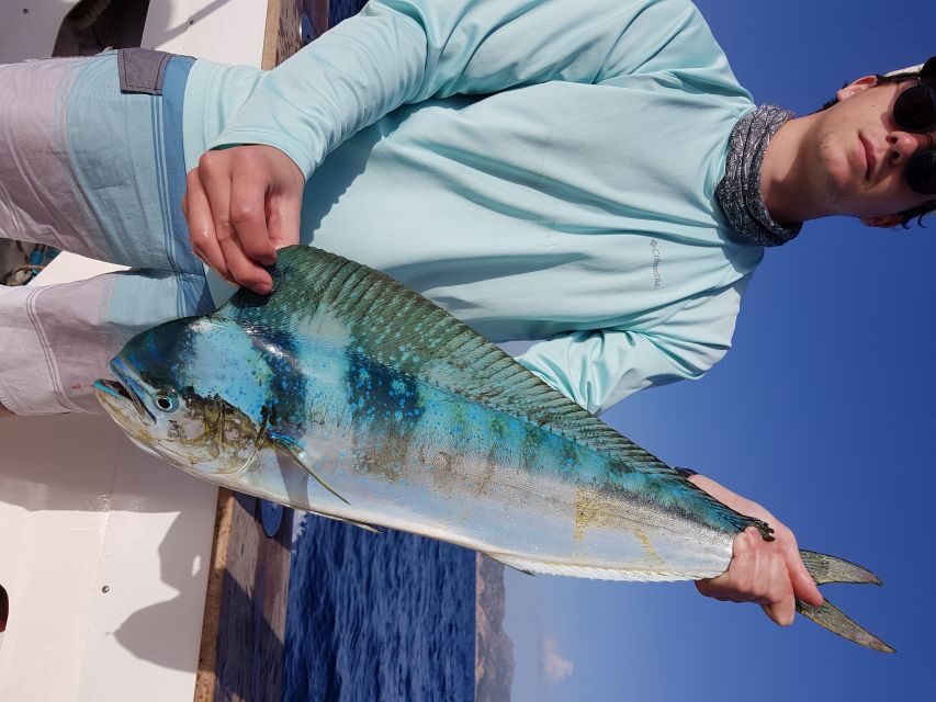 Private Fishing Charter Mallorca - Who should book this Mallorca charter?