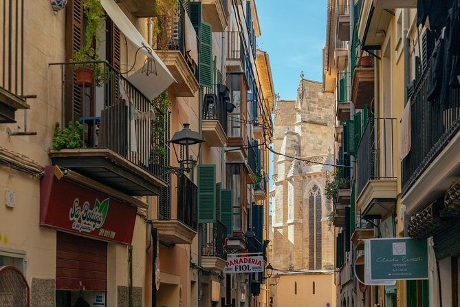 PRIVATE TOUR of Palma de Mallorca: Highlights & Hidden Gems - Price and value: what $95.36 buys you in real life