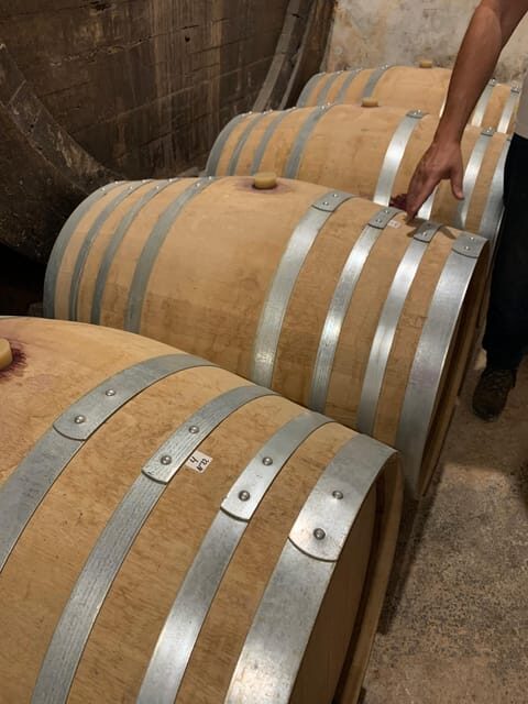 Private tour: Wine and tapas, experience real Mallorca - Plaça d’Espanya to the Mallorca countryside in 3 hours