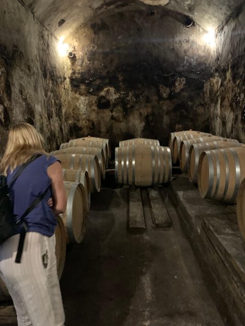 Private tour: Wine and tapas, experience real Mallorca - Five wines and homemade tapas: how the pairing makes the Mediterranean make sense