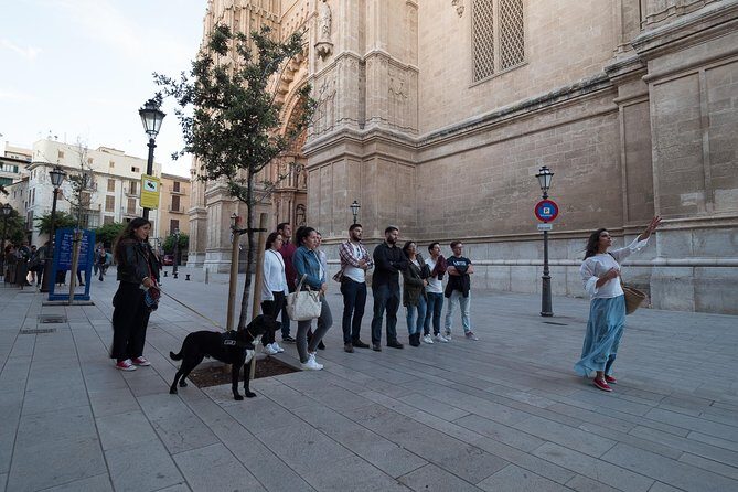Private walking tour in Palma de Mallorca with local guides. - Catedral de Mallorca: From Curiosities to the Cathedral del Mar Interior