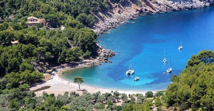 Puerto de Sóller: Cala Tuent Return Boat Trip - Quick take: what matters most