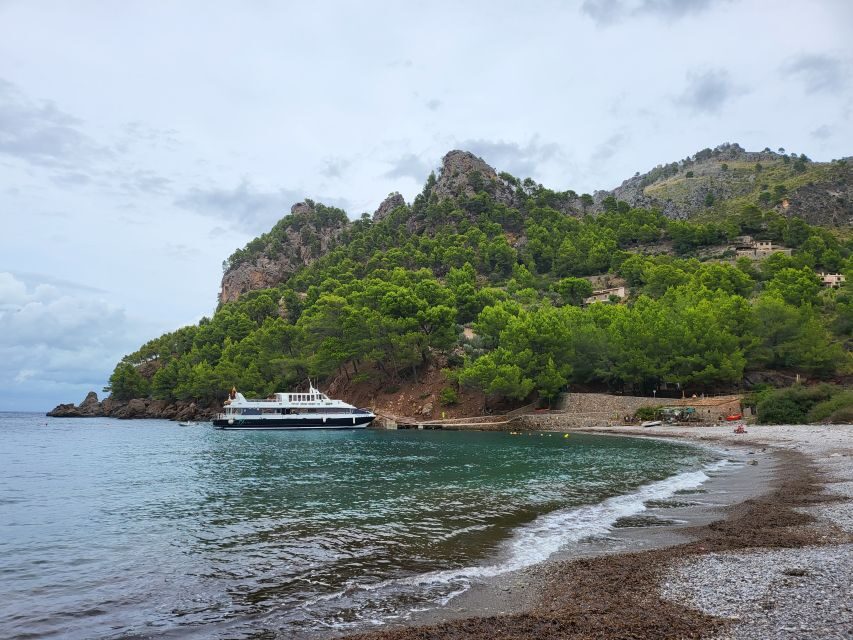Puerto de Sóller: Cala Tuent Return Boat Trip - Timing that works: set departure and a full return plan