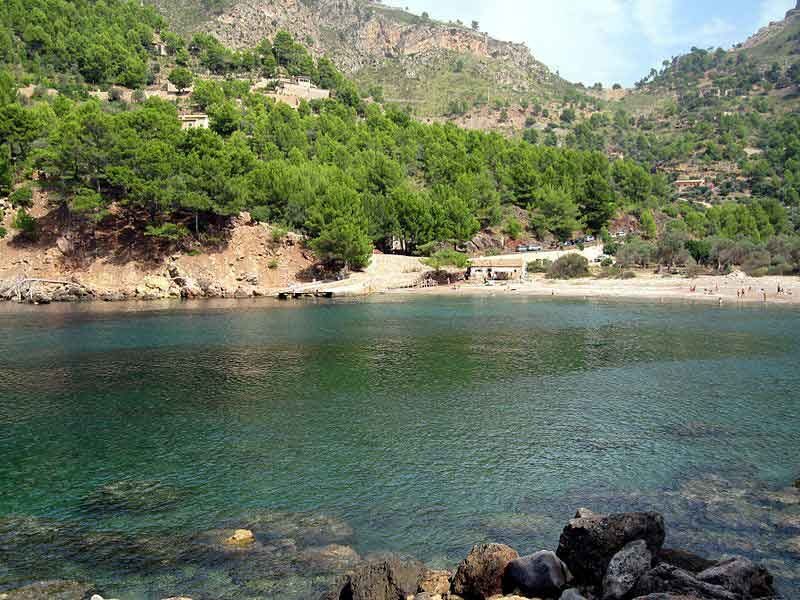 Puerto de Sóller: Cala Tuent Return Boat Trip - Price and value: why $40 makes sense for this kind of access