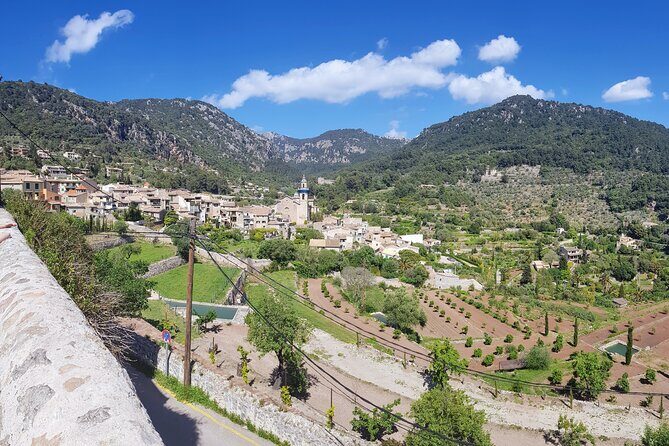 Quad tour from Paguera 3 hours - What’s included, what isn’t, and where the real value is