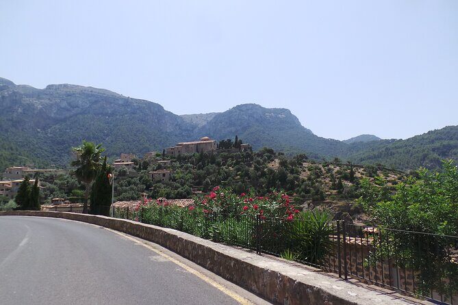 Quad tour from Paguera 3 hours - Meeting point at 11:30 and what to expect on arrival