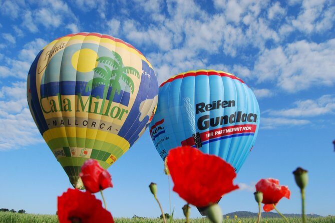 Romantic Sunrise Balloon Tour in Majorca - Post-flight moment: toast, certificate, and that well-run wrap-up