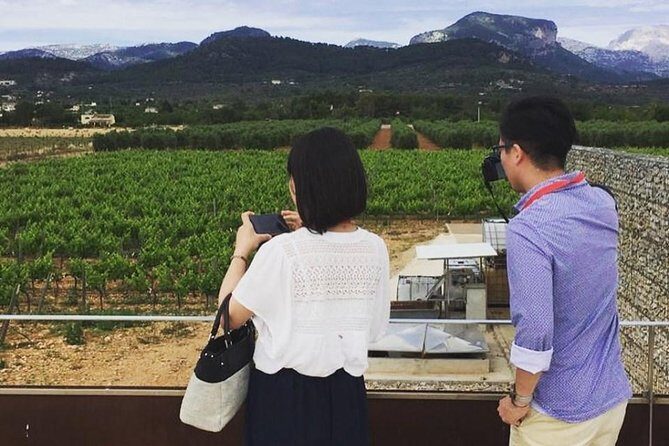 Sa Clasta Mallorca Wine Tours - Two-Winery Mallorca Days: How Sa Clasta Sets the Pace