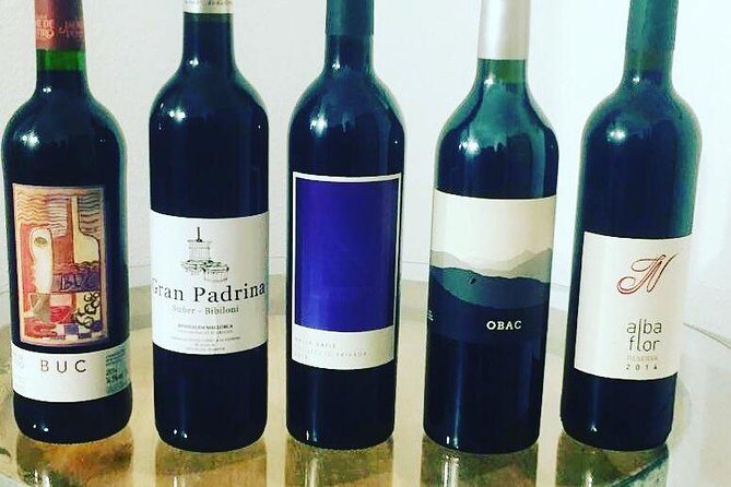 Sa Clasta Mallorca Wine Tours - Tastings That Don’t Feel Rushed: How the Wine Portion Works