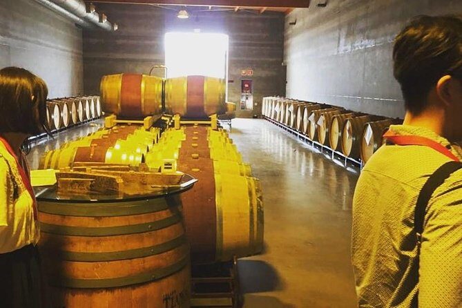 Sa Clasta Mallorca Wine Tours - Group Size Rules: Private-Feeling for Friends, Practical for Small Groups