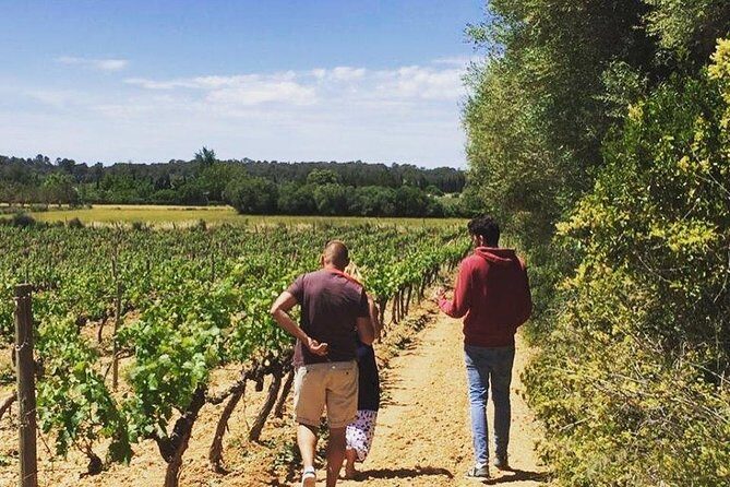 Sa Clasta Mallorca Wine Tours - Visiting the Heart of Mallorca: What the Two Winery Stops Feel Like