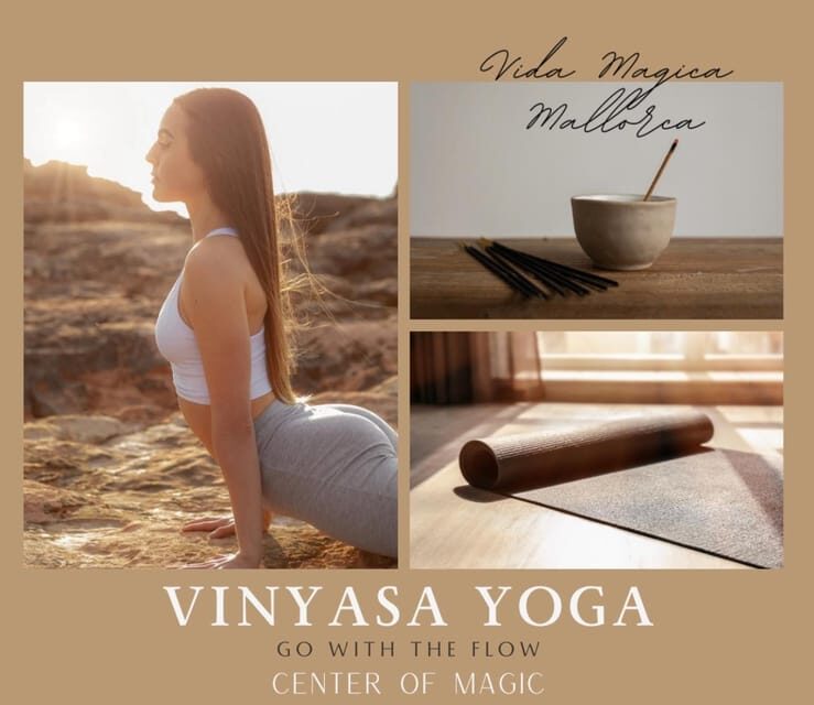 Sa Rapita / Es Trenc: Vinyasa Yoga Class at the beach - Who should book this beach vinyasa class