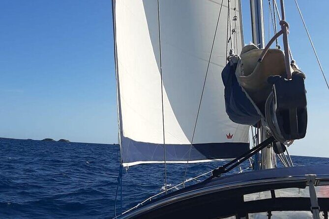 Sailing Trip in Santa Ponsa - Illes Malgrats: Nature Reserve Swim Stop With Fish-Filled Water