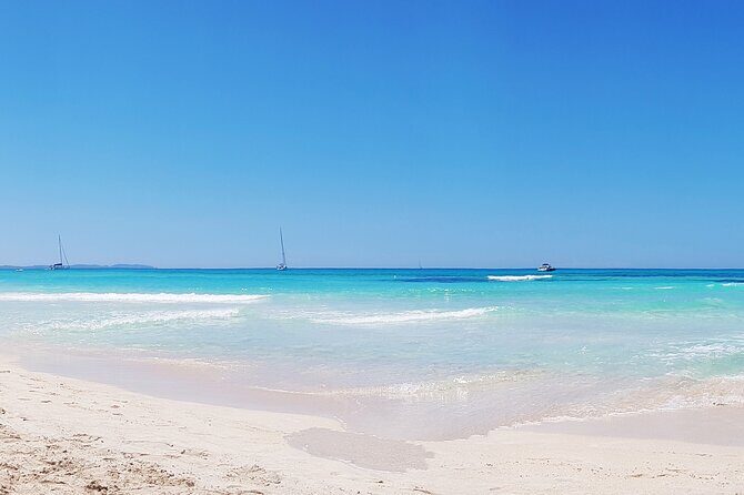 Salobrar Natural Park - Es Trenc Beach - Key highlights at a glance