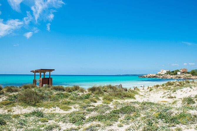 Salobrar Natural Park - Es Trenc Beach - Birdwatching in the Salobrar: how to make it count