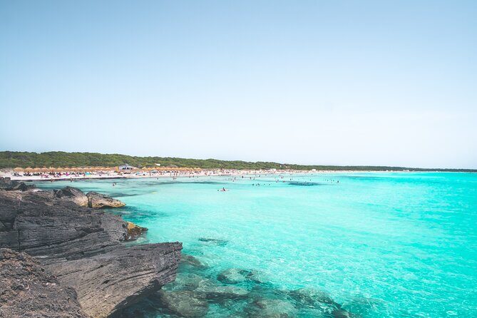 Salobrar Natural Park - Es Trenc Beach - Price and time: does it make sense for $45.12?