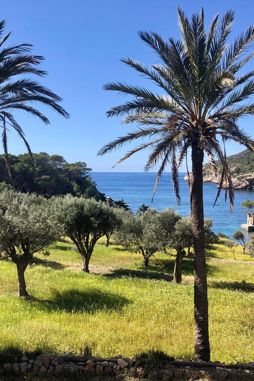Sant Elm: Guided kayak tour to the Island Dragonera & Hiking - Key Points You’ll Care About