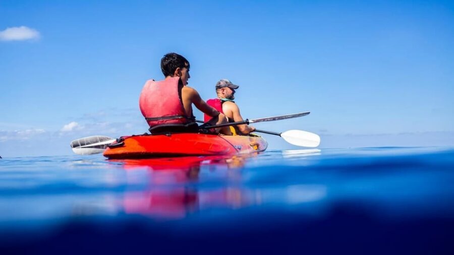 Sant Elm: Guided kayak tour to the Island Dragonera & Hiking - Swim and Snorkel Break: The Best Way to Beat the Heat