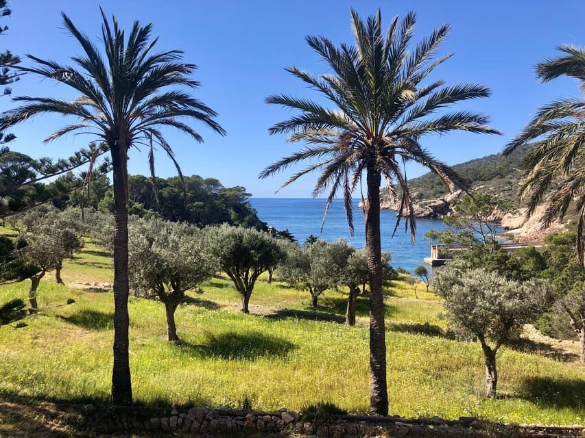 Sant Elm: Guided kayak tour to the Island Dragonera & Hiking - What You’re Really Paying For: Value at About $77