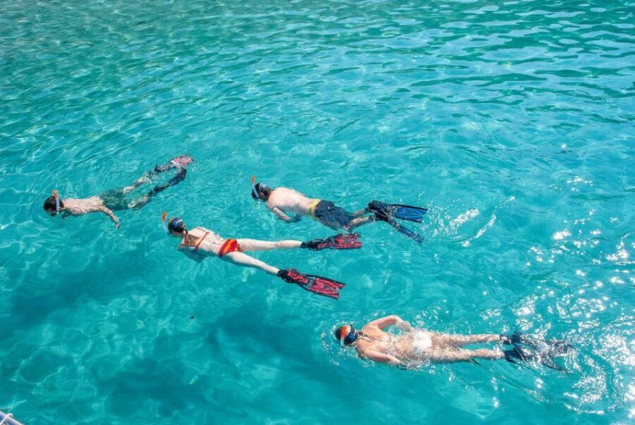 Santa Ponsa: Snorkeling Tour in a Marine Reserve - Who this tour suits best in Mallorca—and who should skip it