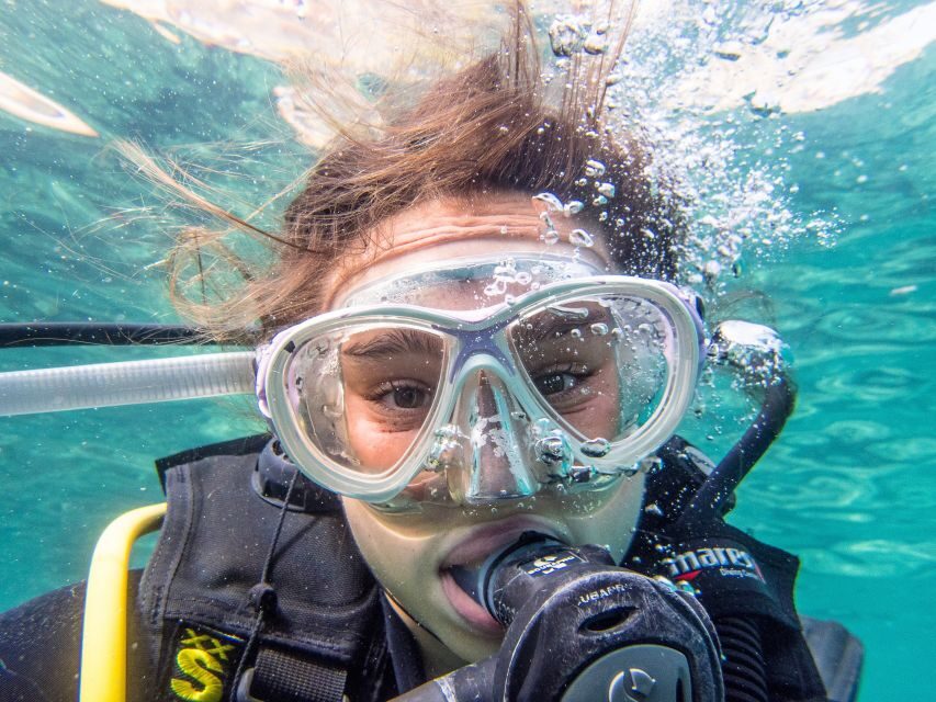 Santa Ponsa: Try Scuba Diving in a Marine Reserve - Getting There From Santa Ponsa: Pickup, the Marina, and Timing
