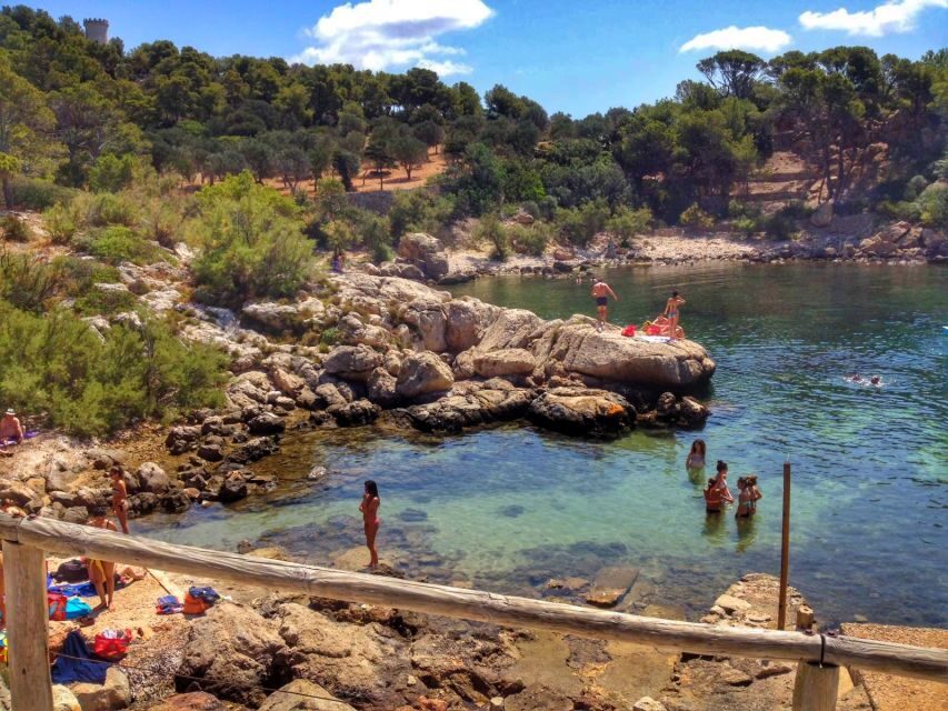 Santa Ponta/Peguera: Dragonera Island Cruise with Swim Stop - Key things I’d plan around before you go