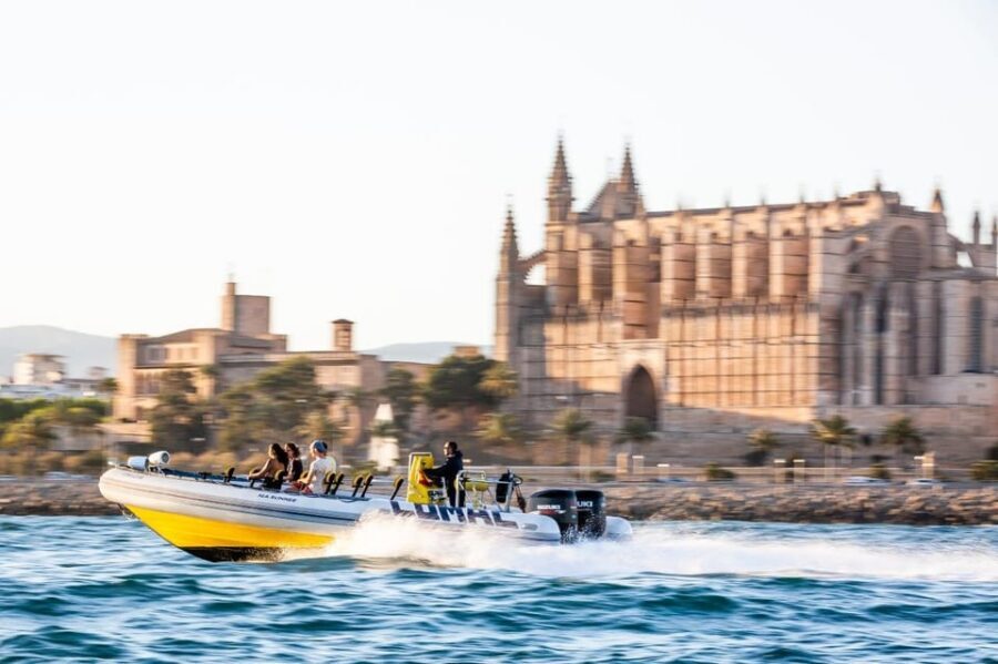 S'Arenal: Boat trip to Illetas with views of Palma - Cala Illetas anchor stop: swim and snorkeling that’s actually the highlight