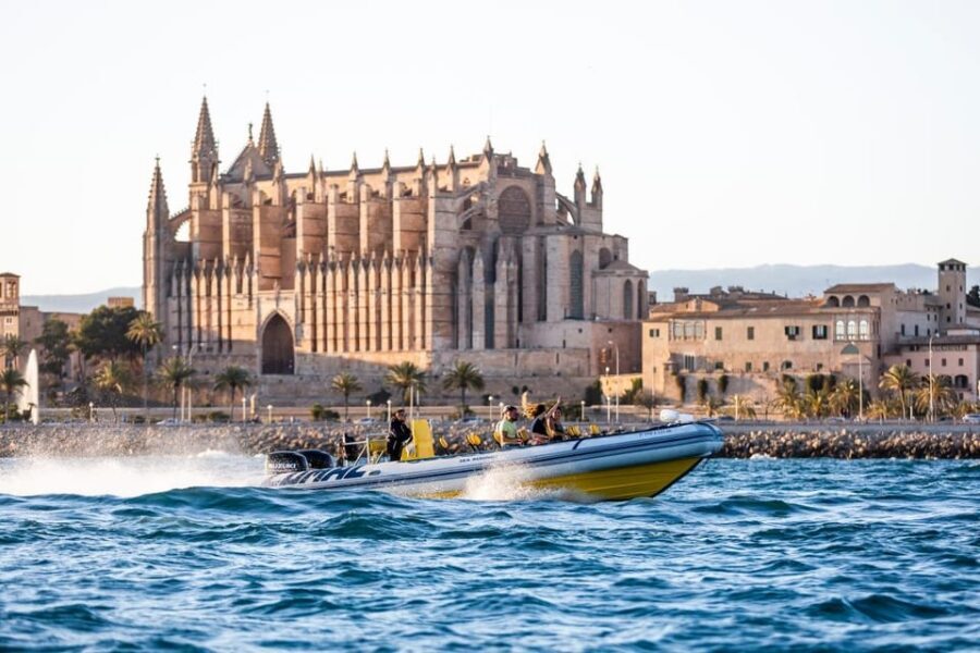S'Arenal: Boat trip to Illetas with views of Palma - Practical tips so your 3 hours go smoothly