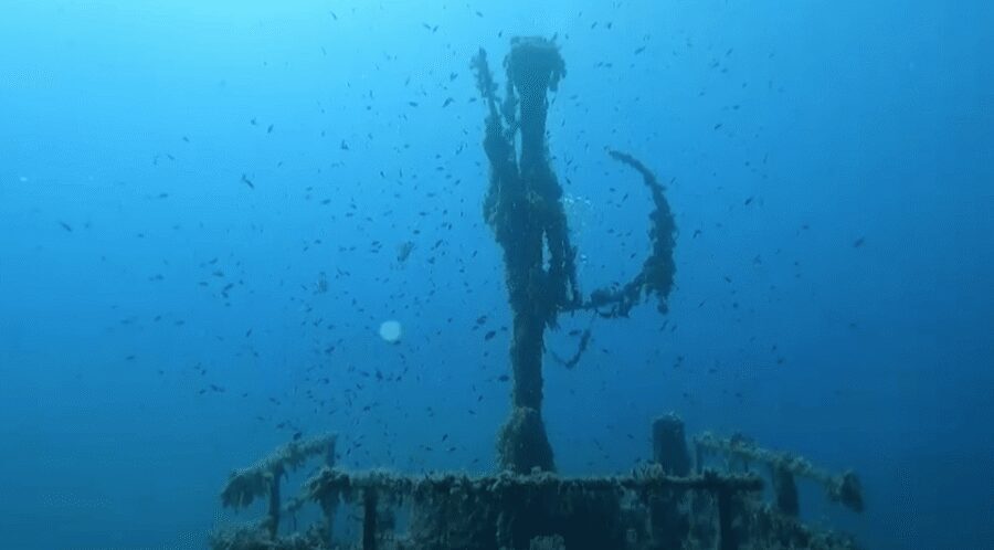 Scuba Diving - Dive for certified divers - Key highlights I’d plan around