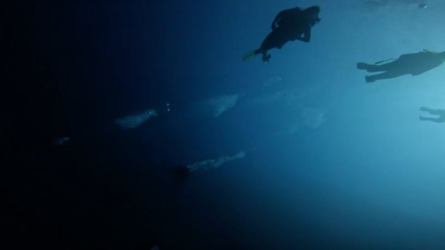 Scuba Diving - Dive for certified divers - Should You Book This Balearic Islands Scuba Session?